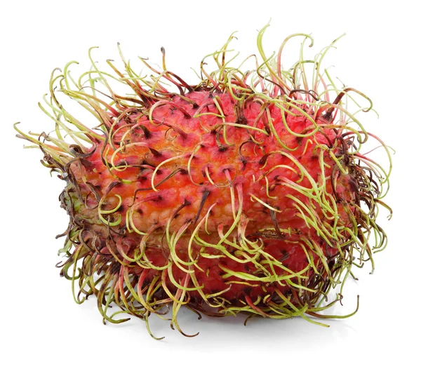 Una sola fruta de rambután aislada en blanco — Foto de Stock