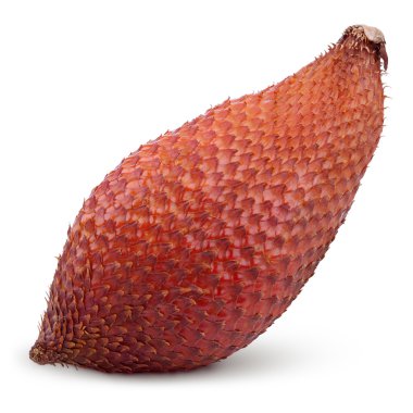 salak yılan meyve