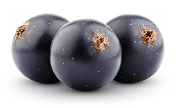 Porzeczki czarne jagody na biały — Zdjęcie stockowe