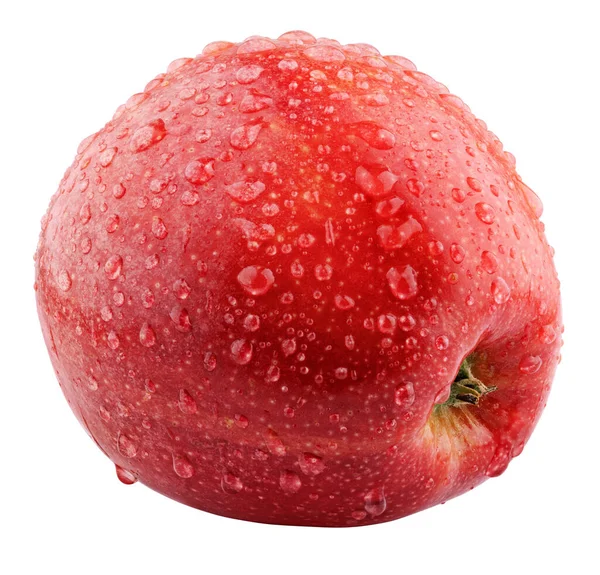 Single Fresh Wet Red Apple Drops Isolated White Background Red Stock Picture