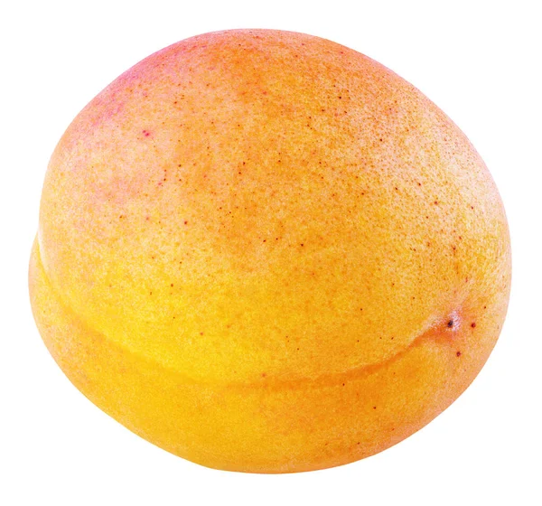 Abricot Entier Simple Fruit Prune Jaune Isolé Sur Fond Blanc — Photo