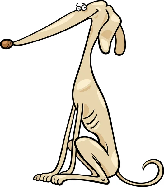 Greyhound köpek karikatür çizimi — Stok Vektör