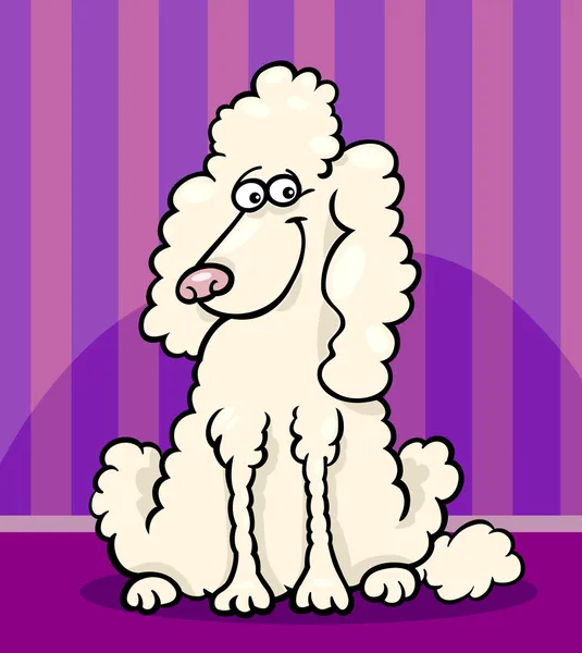 Poodle perro ilustración de dibujos animados — Vector de stock