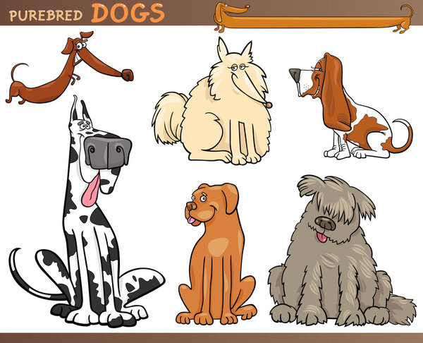 Dog breeds cartoon set