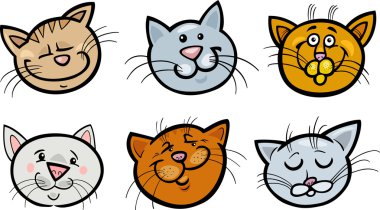 karikatür komik kediler kafa set