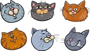 karikatür komik kediler kafa set