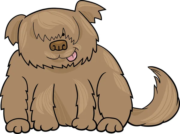 Sheepdog shaggy cão desenho animado ilustração — Vetor de Stock