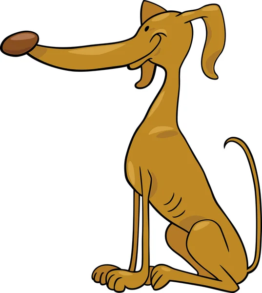 Greyhound dog cartoon illustration — Stock Vector