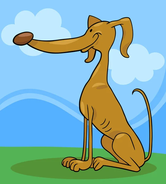 Greyhound hund tecknad bild — Stock vektor