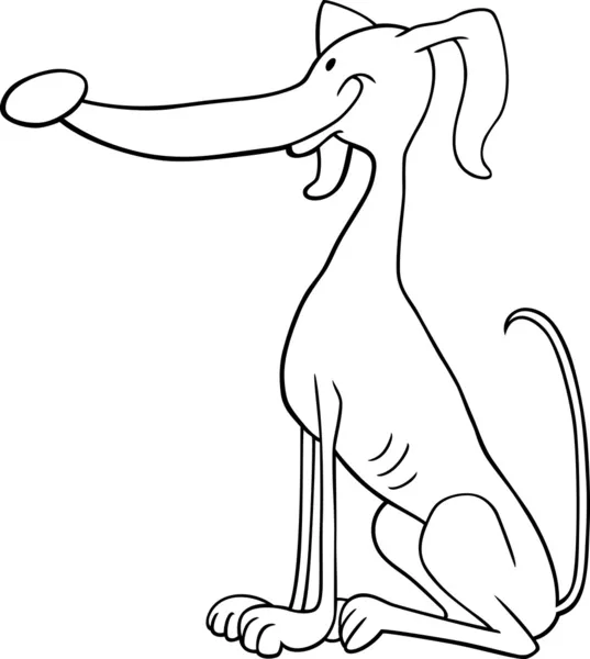 Dibujos animados perro galgo para colorear libro — Vector de stock