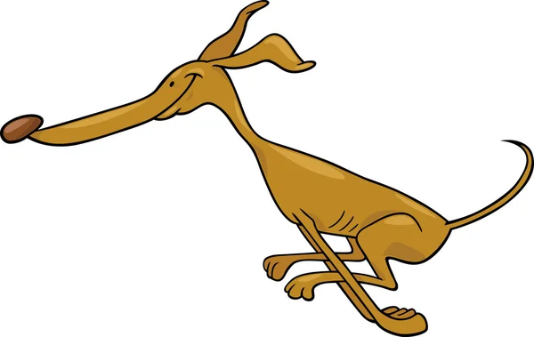 Running greyhound cartoon illustration — Stock Vector