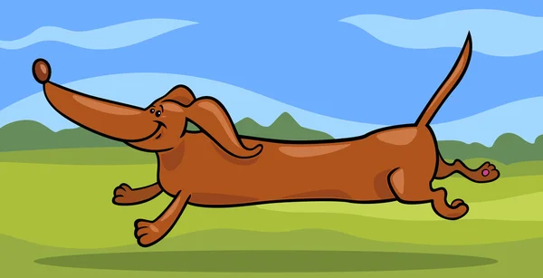 Ejecución de ilustración de dibujos animados perro dachshund — Archivo Imágenes Vectoriales