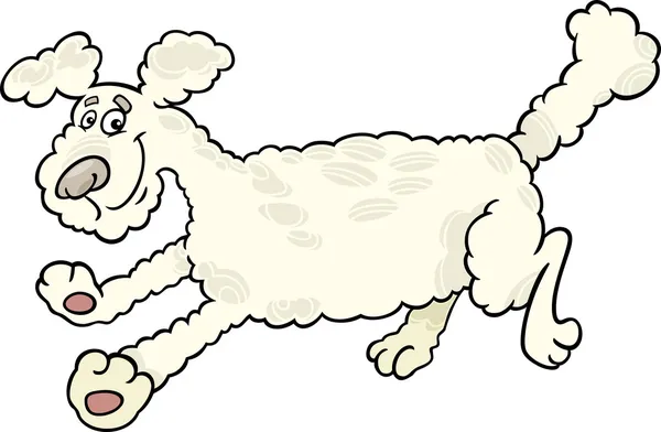 Running poodle dog cartoon illustration — Stock Vector