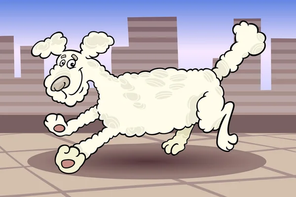 Correr perro caniche ilustración de dibujos animados — Vector de stock