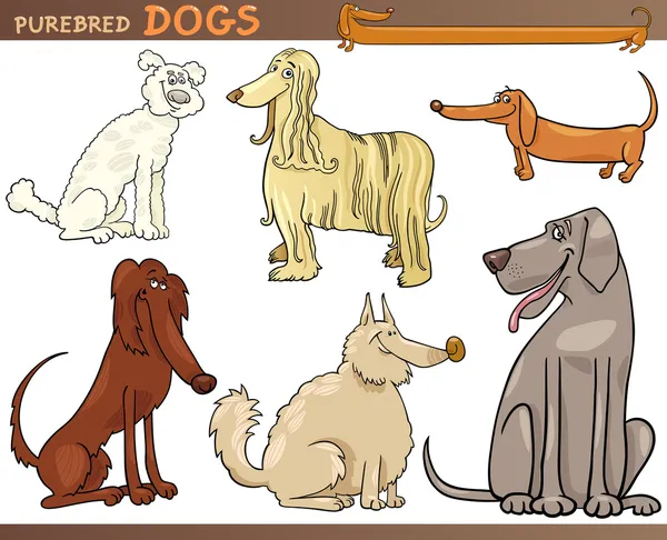 Fajtiszta kutyák rajzfilm sor — Stock Vector