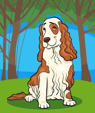 Cocker spaniel köpek karikatür çizimi
