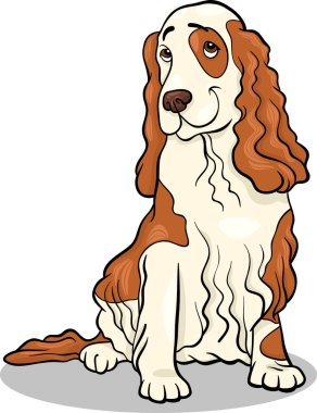 Cocker spaniel köpek karikatür çizimi