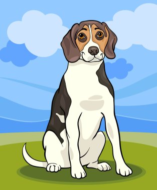 Beagle köpek karikatür çizimi