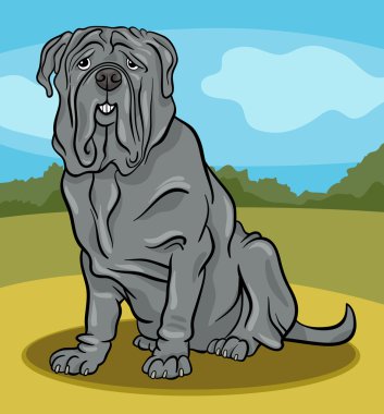 Napoliten mastiff köpek karikatür çizimi