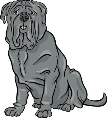 Napoliten mastiff köpek karikatür çizimi