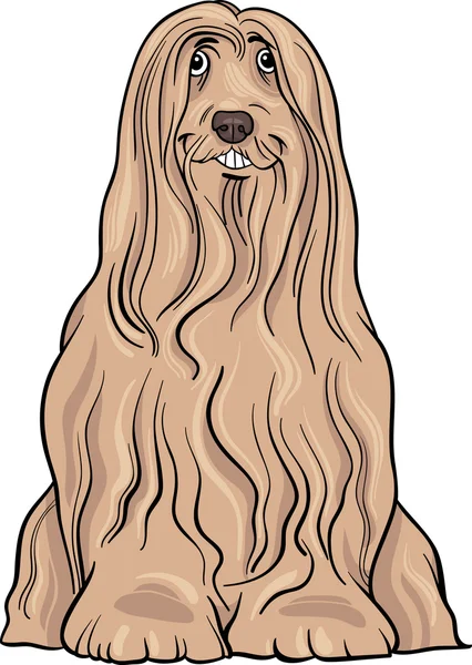 Ilustrasi kartun anjing berjenggot collie - Stok Vektor
