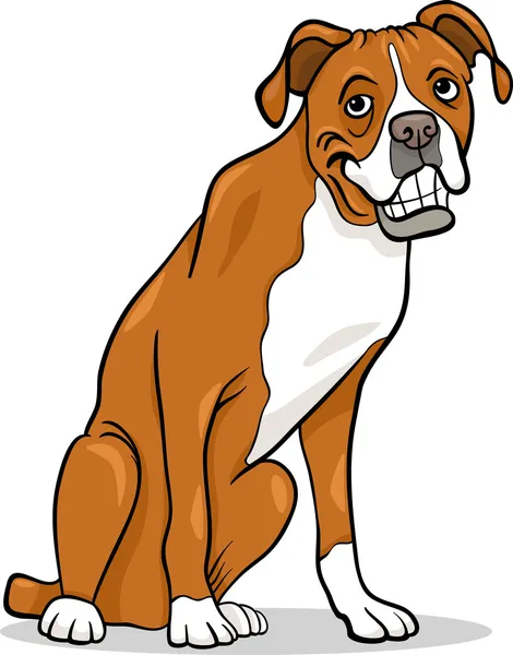 Boxer Köpek karikatür çizimi — Stok Vektör