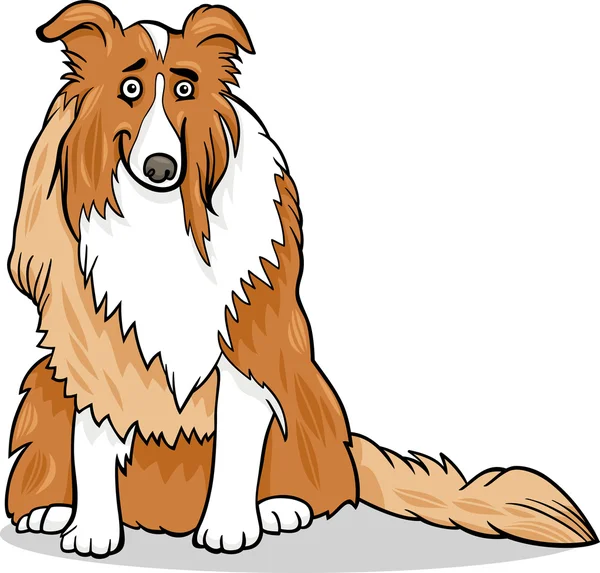 Collie pura raza perro dibujos animados ilustración — Archivo Imágenes Vectoriales