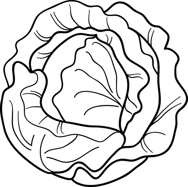 Cabbage vegetable cartoon for coloring book — Stock Vector