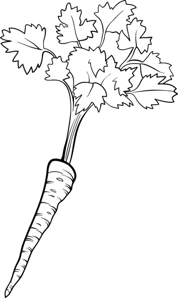 Boyama kitabı için maydanoz sebze karikatür — Stok Vektör