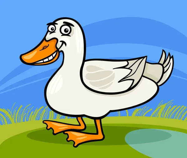 Pato fazenda pássaro animal desenho animado ilustração — Vetor de Stock