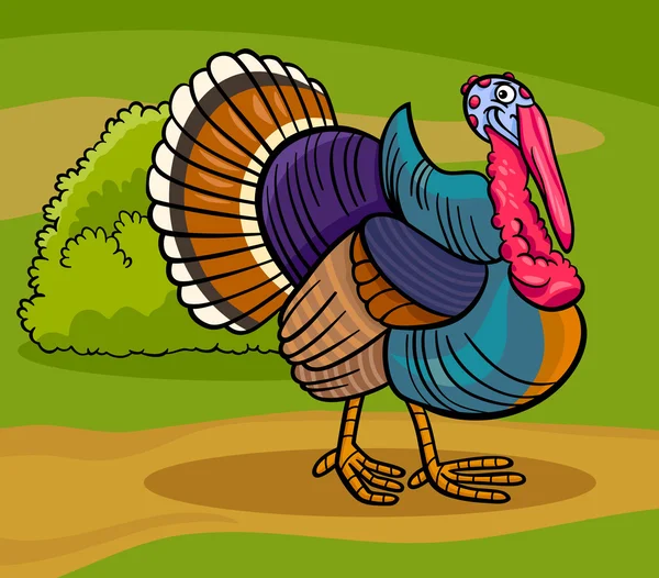 Turecko farma pták zvířecí kreslený obrázek — Stockový vektor