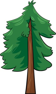cartoon illustration of conifer tree clipart