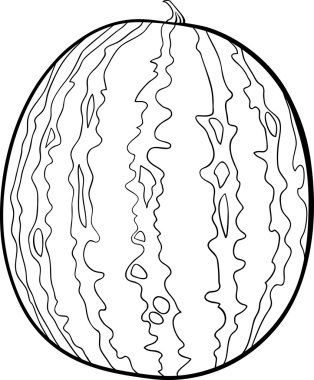 watermelon illustration for coloring book clipart