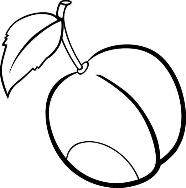 Plum vruchten illustratie voor coloring boek — Stockvector