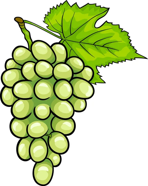 Uvas blancas fruta ilustración de dibujos animados — Vector de stock