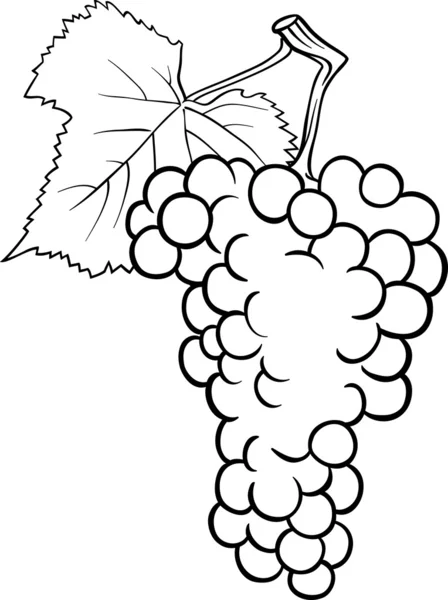 Grapes illustration for coloring book — Stock Vector