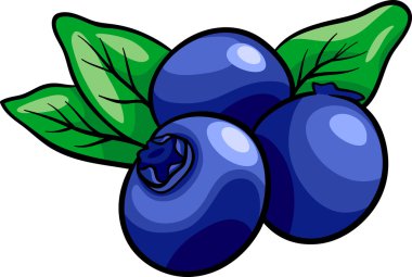 yaban mersini meyve karikatür çizimi