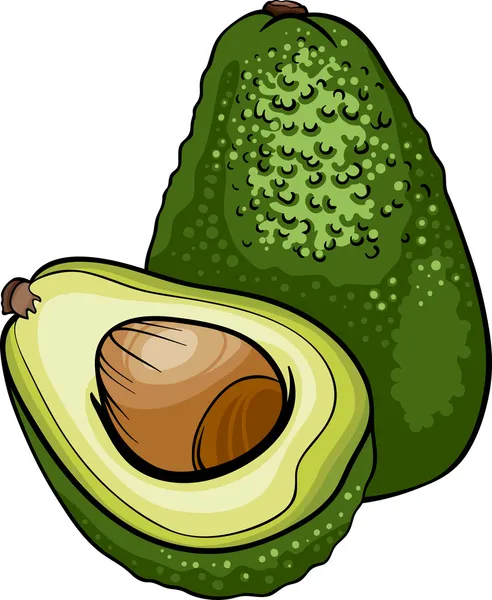 Illustration zur Avocadofrucht — Stockvektor