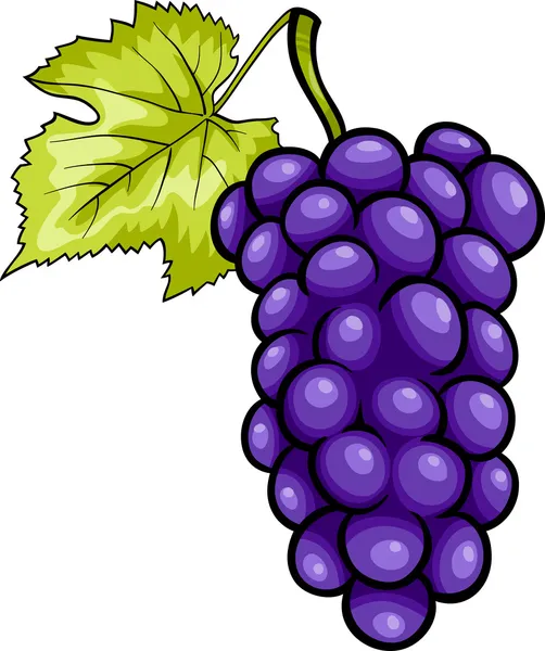 Blue grapes fruit cartoon illustration — Stock Vector