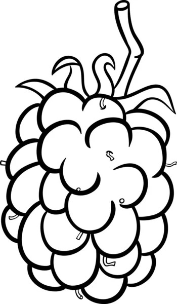 Blackberry illustration for coloring book — стоковый вектор