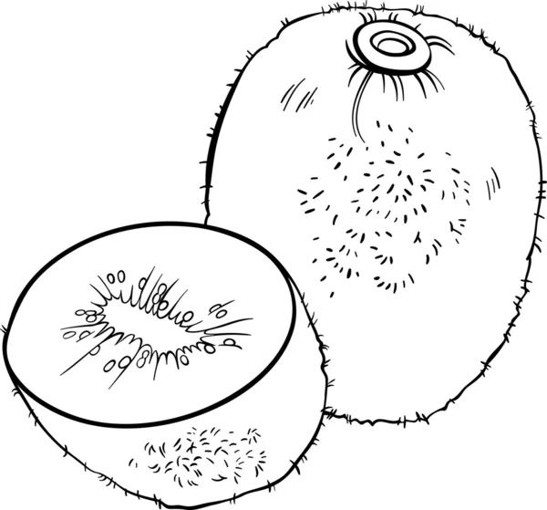 Kiwi vruchten illustratie voor coloring boek — Stockvector