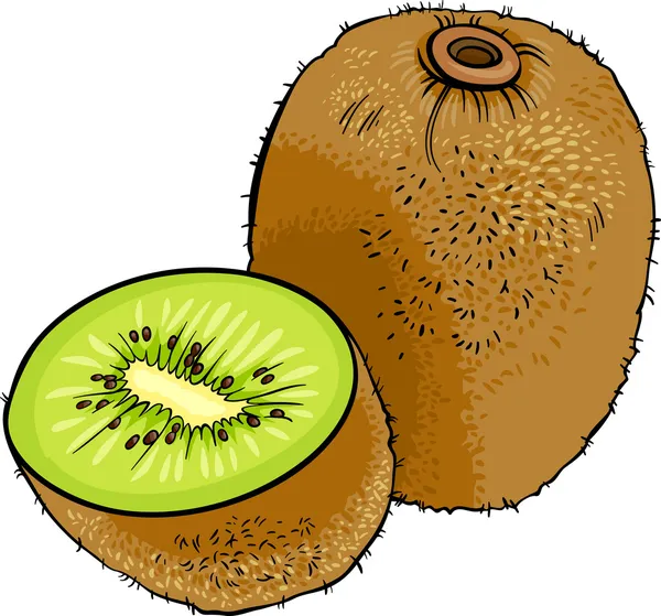 Kiwi fruit cartoon illustration — Stock Vector