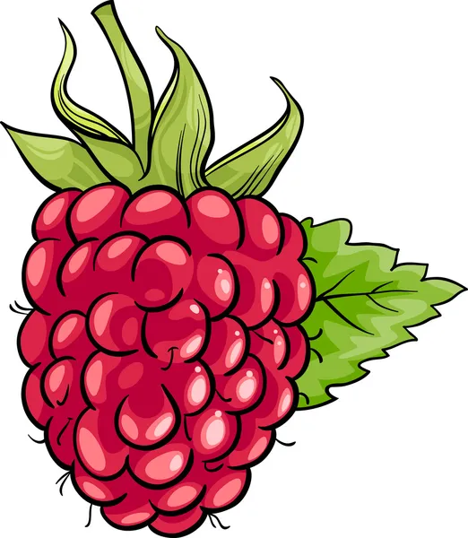 Ilustración de dibujos animados de frutas de frambuesa — Vector de stock