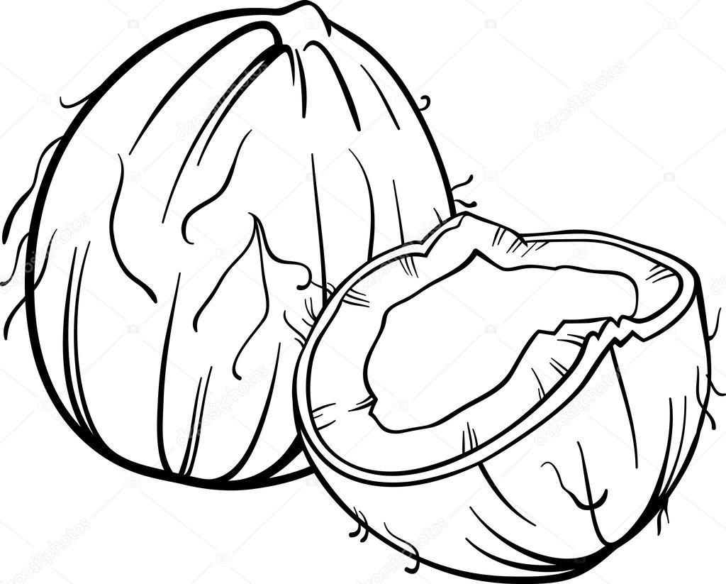 stock illustration coconut illustration for coloring book