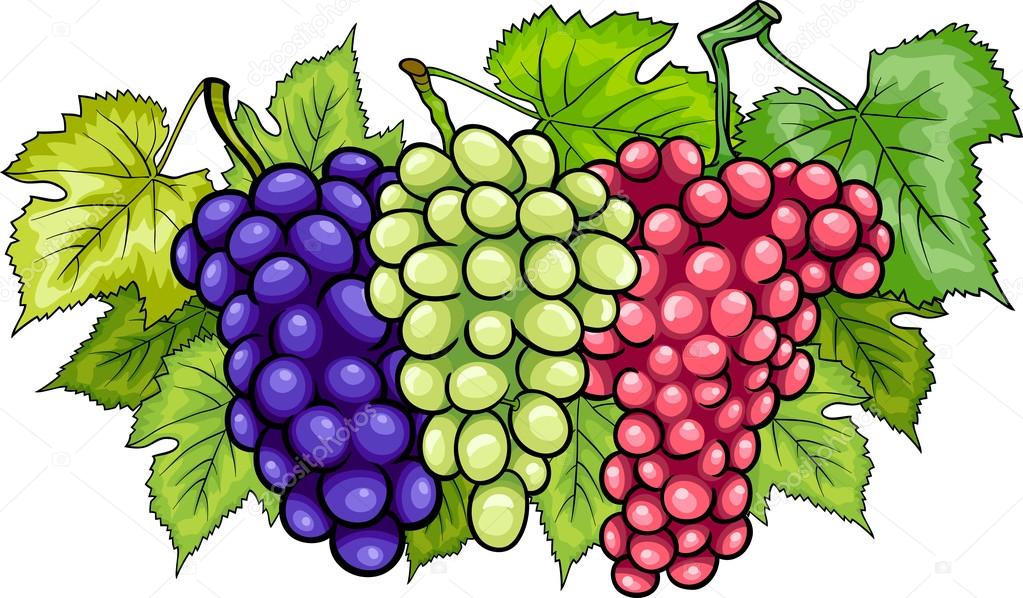 Racimos de uvas ilustración de dibujos animados Vector de stock por ...