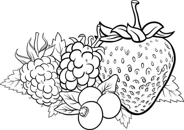 Berry fruits illustration for coloring book — Stock Vector
