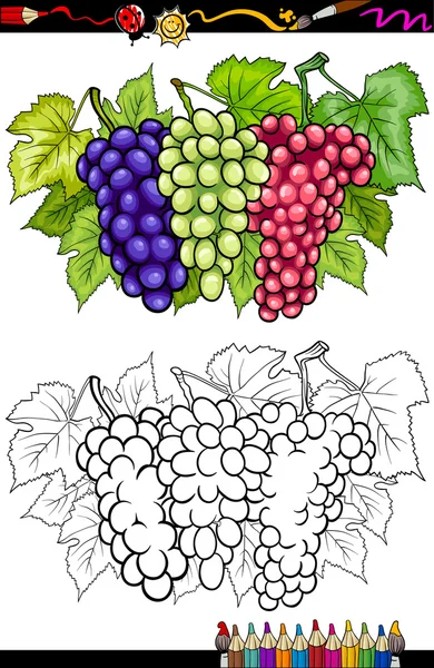 Grapes fruits illustration for coloring book — Stock Vector