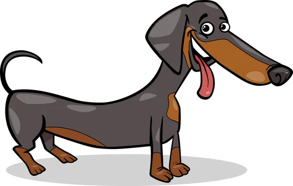 Teckel hond cartoon afbeelding — Stockvector