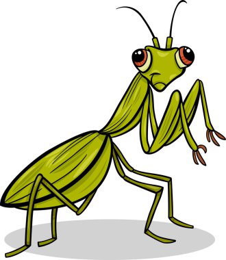 Mantis böcek karikatür çizimi