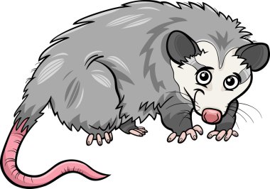 opossum animal cartoon illustration